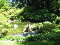 japanesegarden_pond