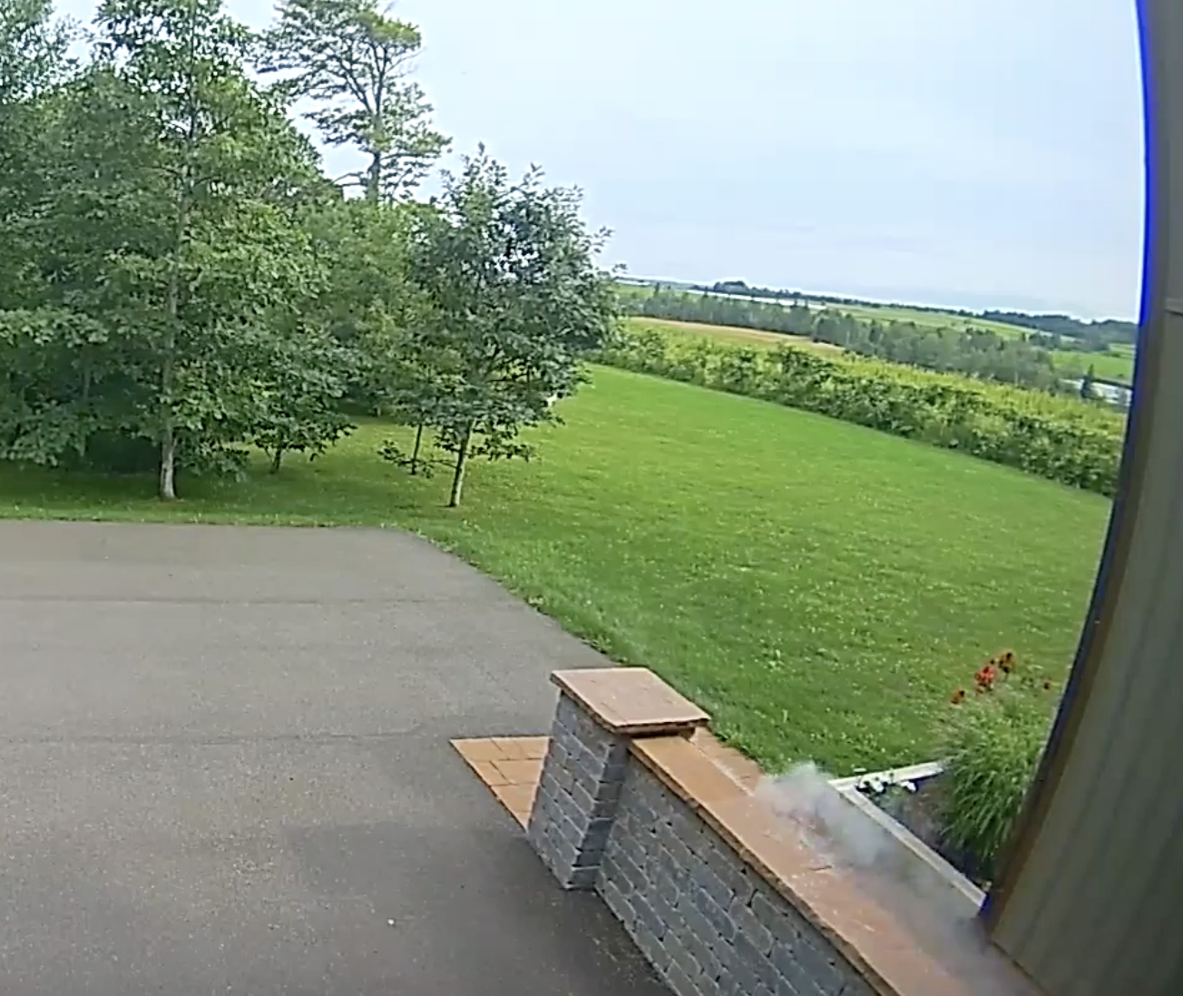 Ring video of small meteor hitting a home